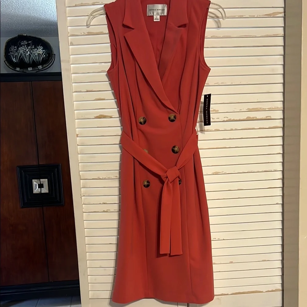 Elegant Terracotta Sleeveless Dress Size 2 - Picture 1 of 11